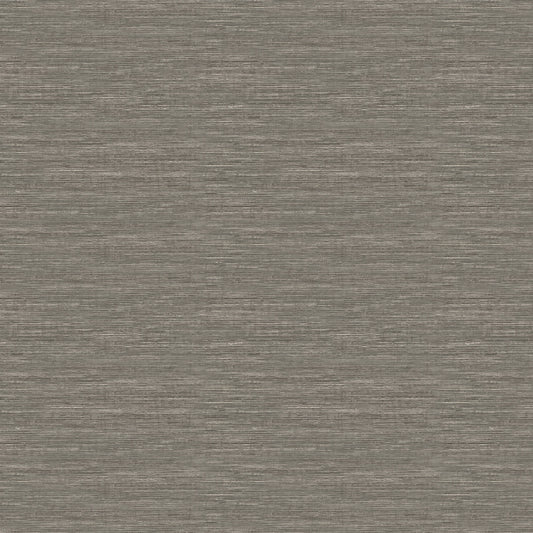 Saguaro (Fc) - Graphite