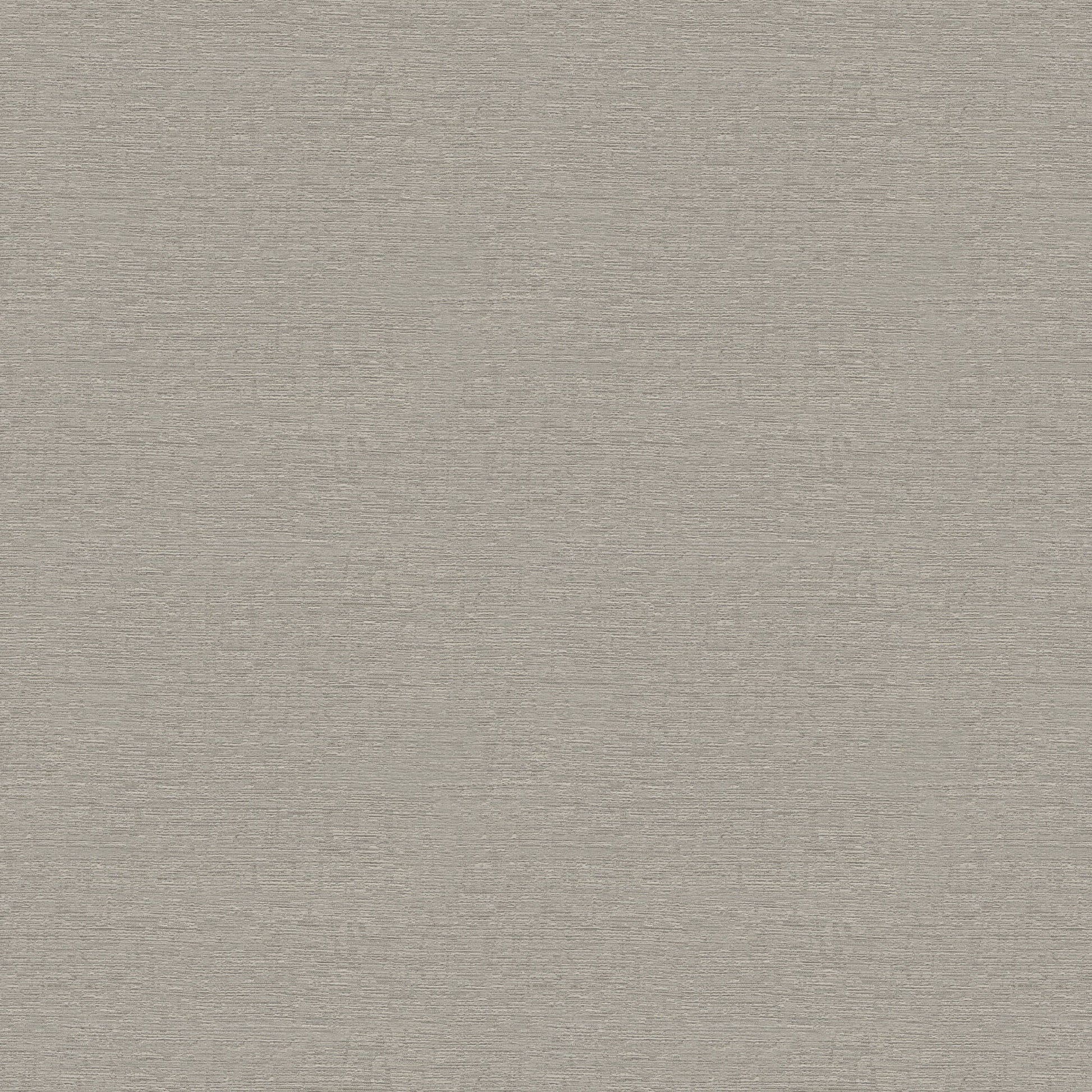 Saguaro (Fc) - Silver