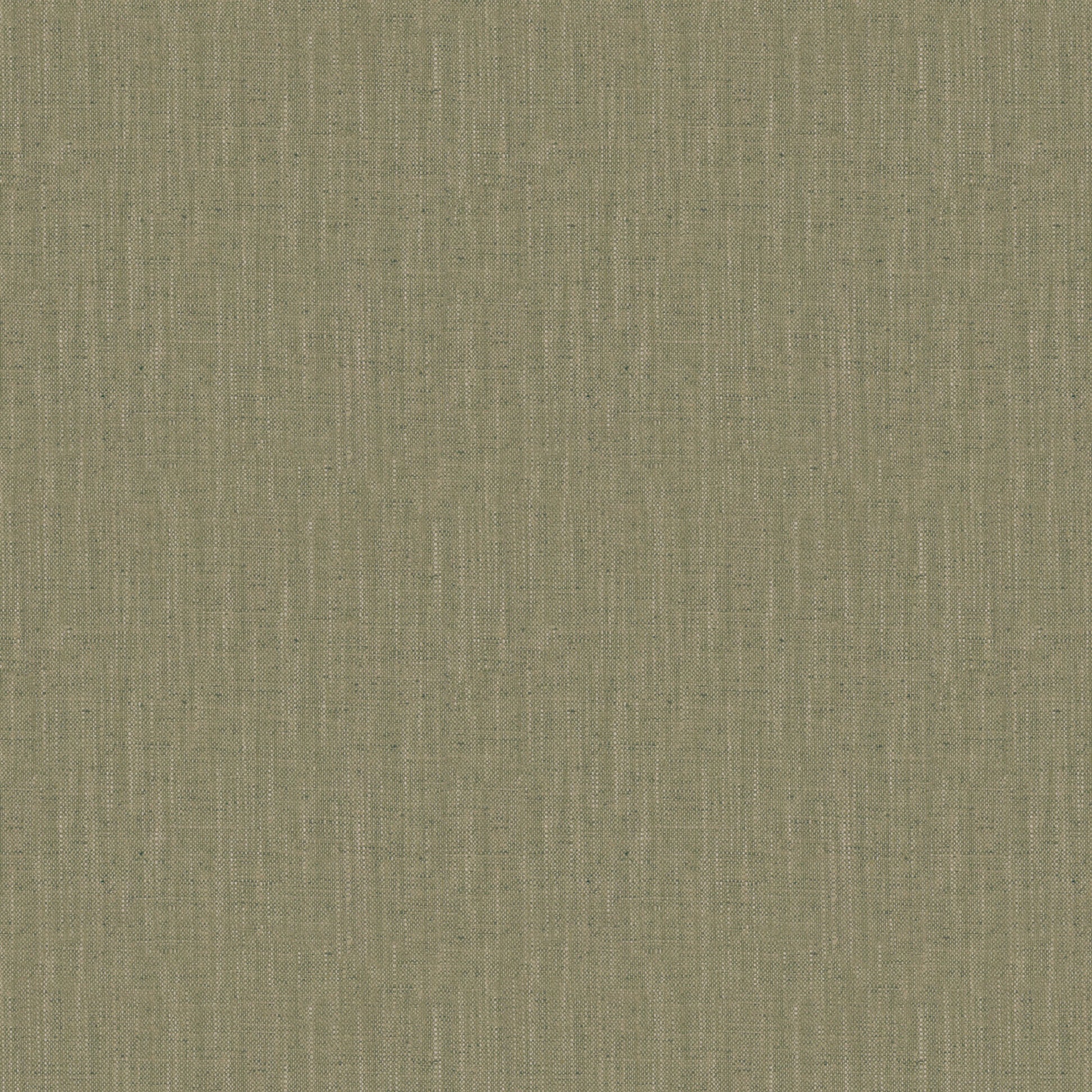 Farafra (Fc) - Fern