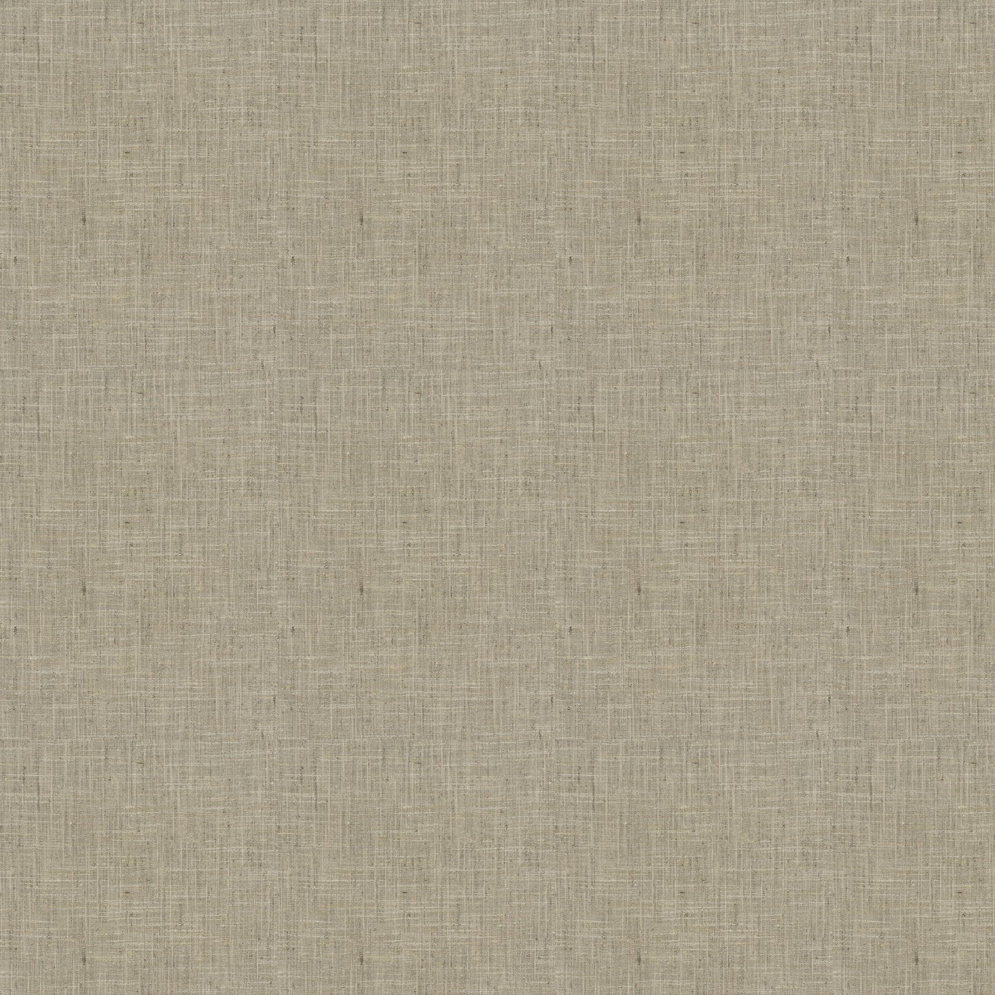 Katpana (Fc) - Birch
