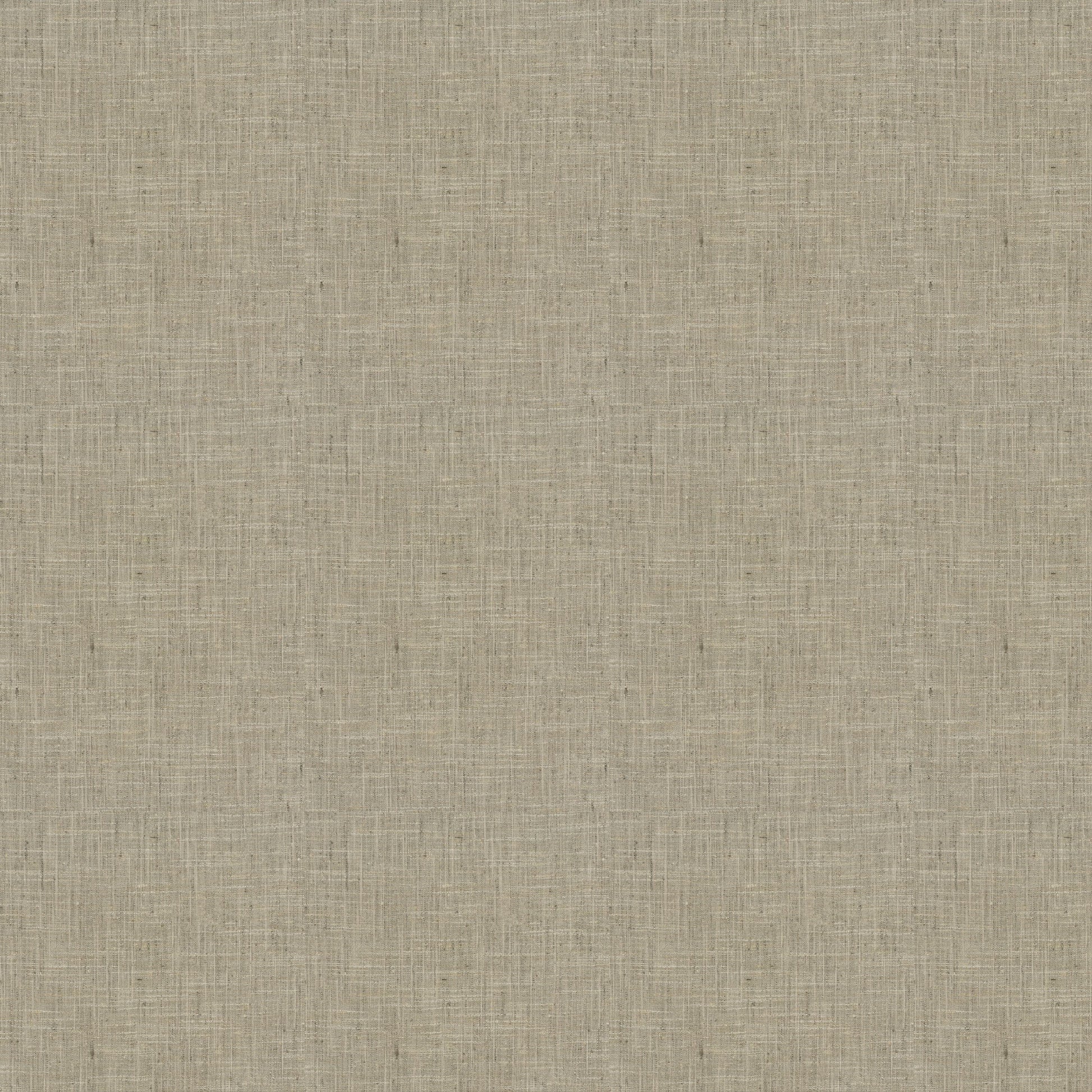 Katpana (Fc) - Birch