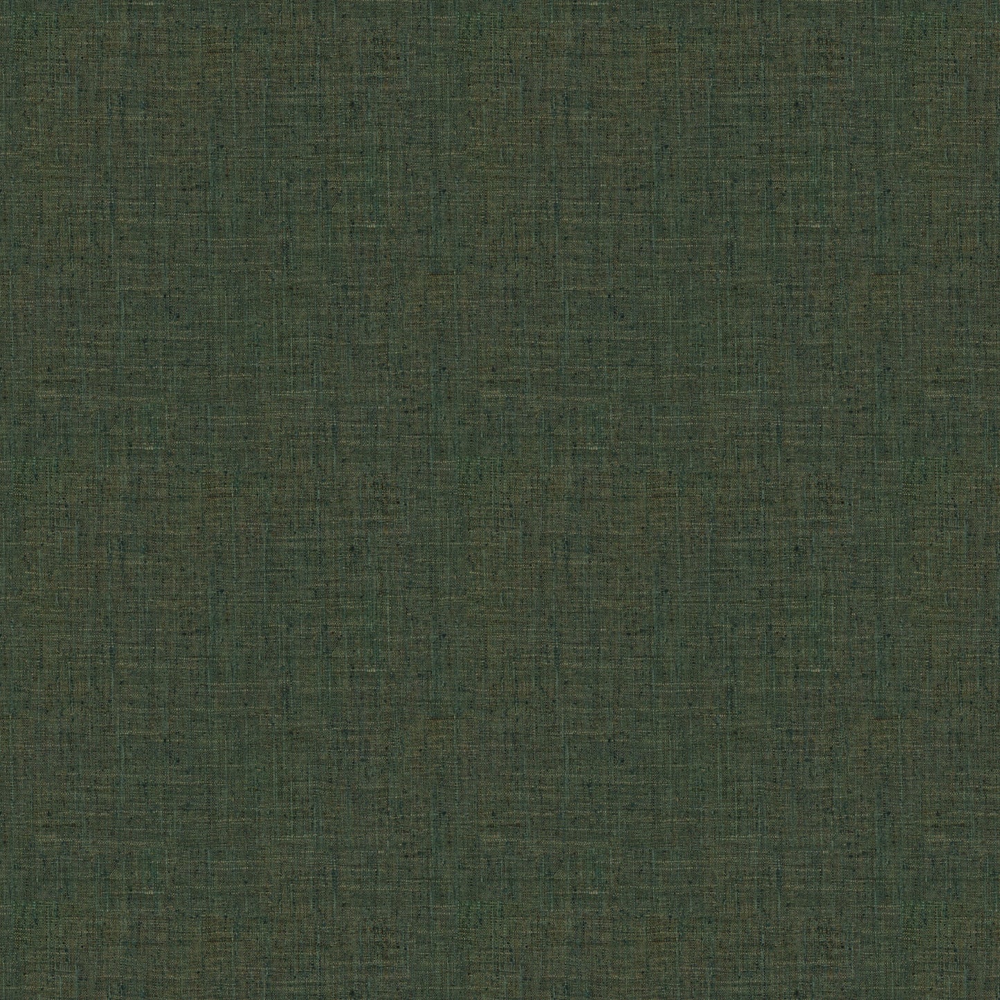 Katpana (Fc) - Rainforest