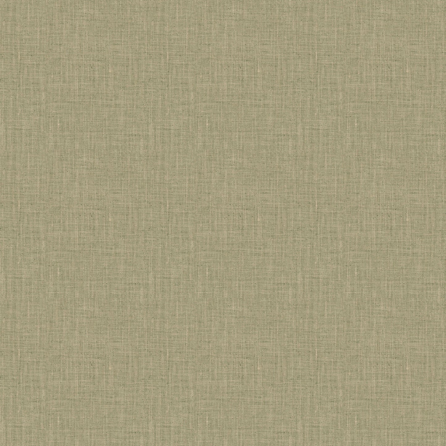 Phelps (Fc) - Fern
