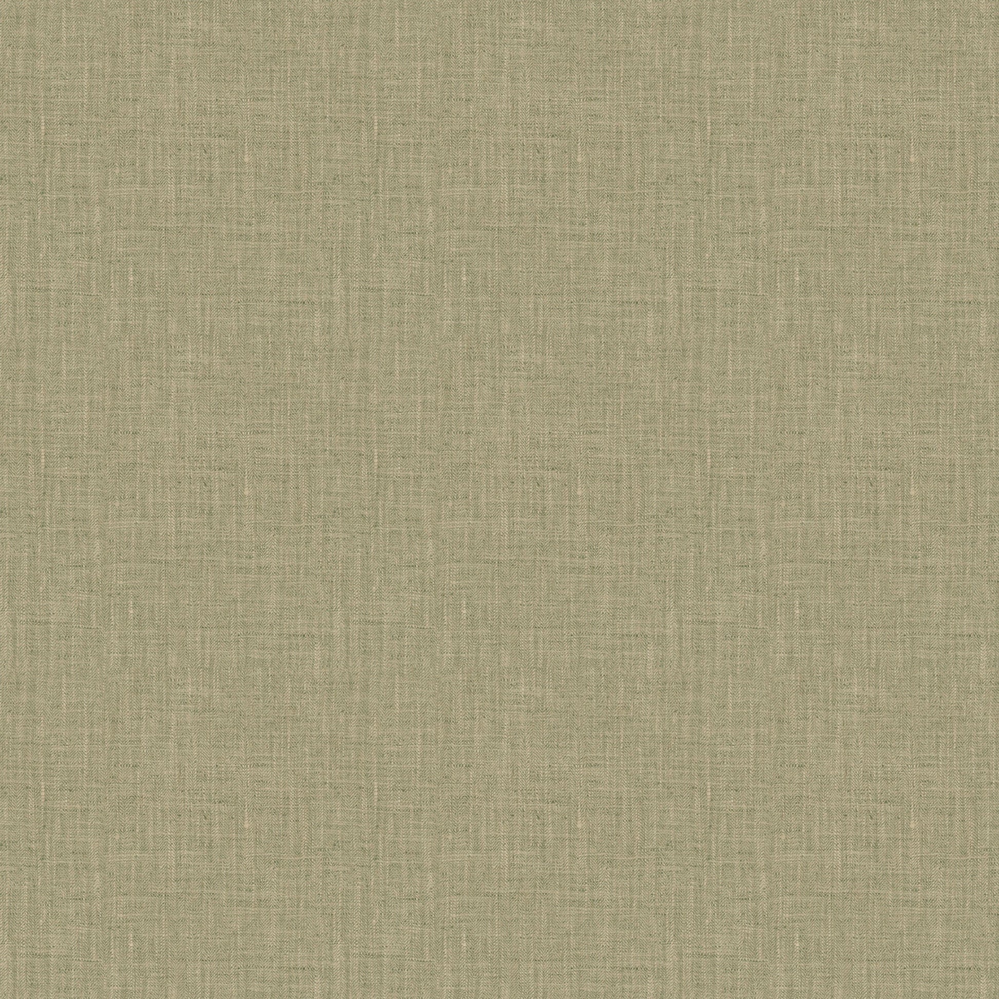 Phelps (Fc) - Fern