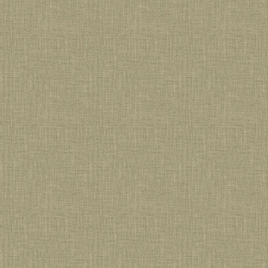 Phelps (Fc) - Fern