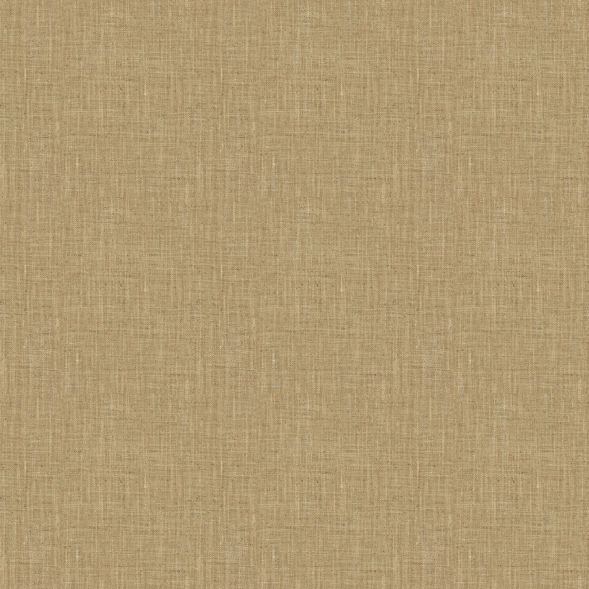 Phelps (Fc) - Tussah