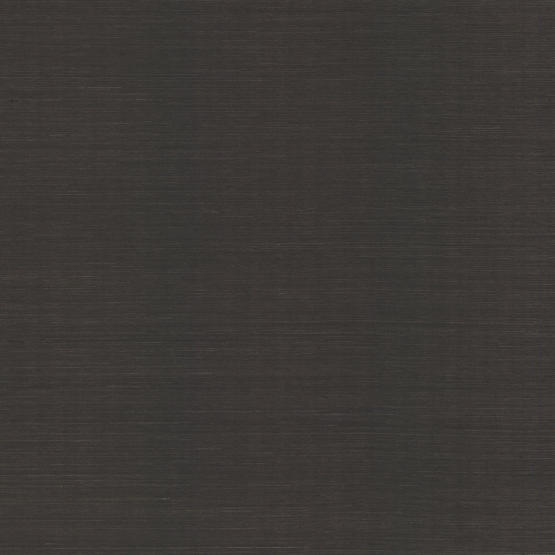 AB2195 - Blooms Second Edition Wallpaper Maguey Sisal