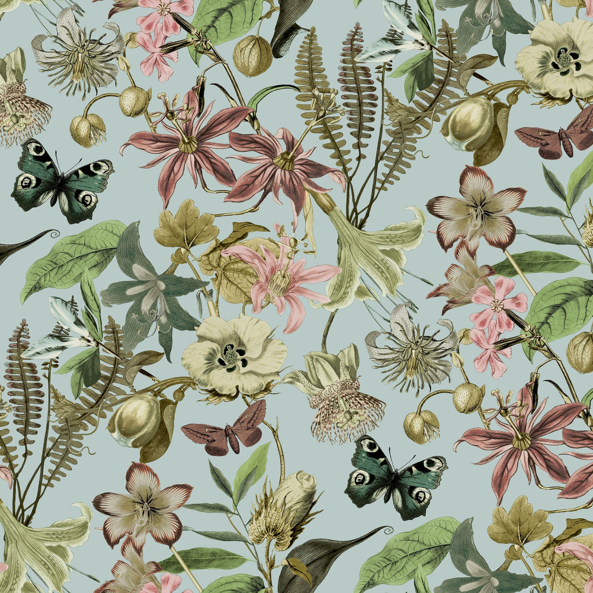 BL1725 - Blooms Second Edition Wallpaper Butterfly House