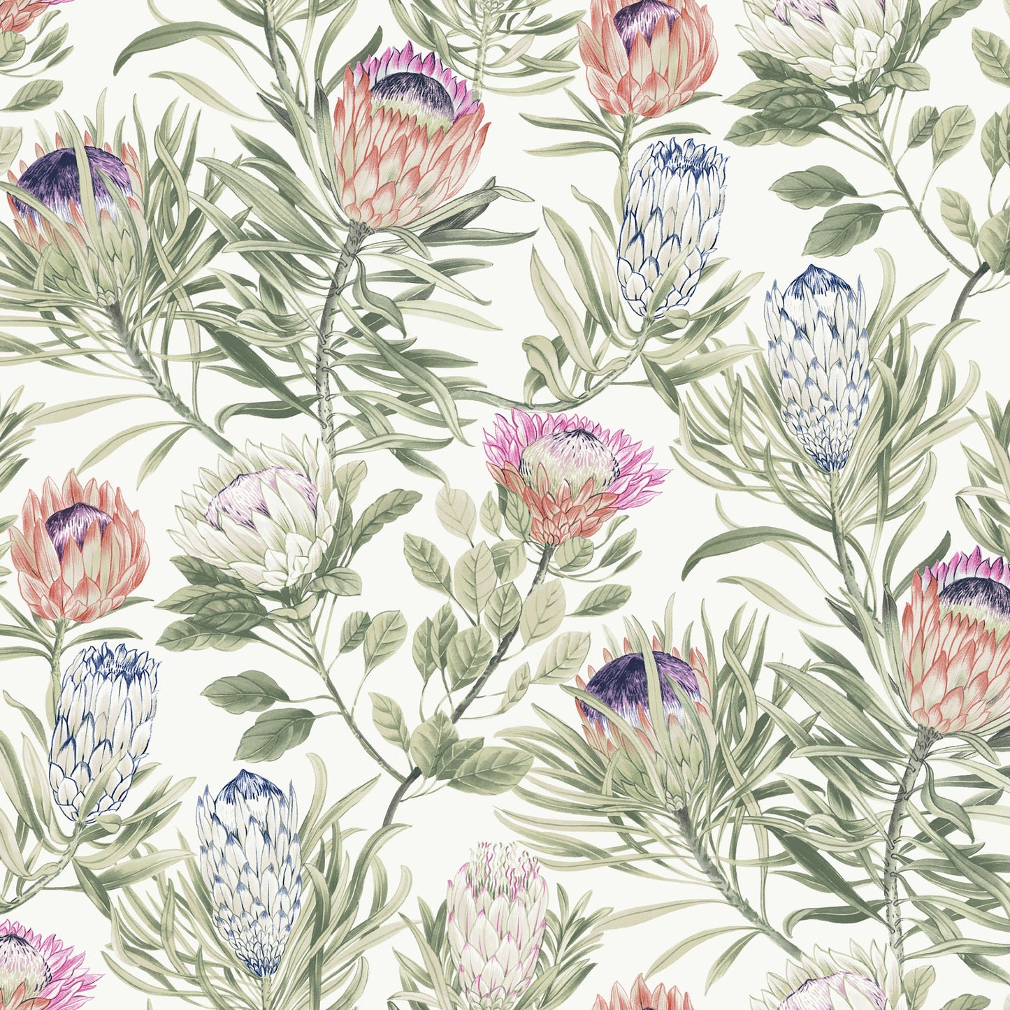 BL1752 - Blooms Second Edition Wallpaper Protea
