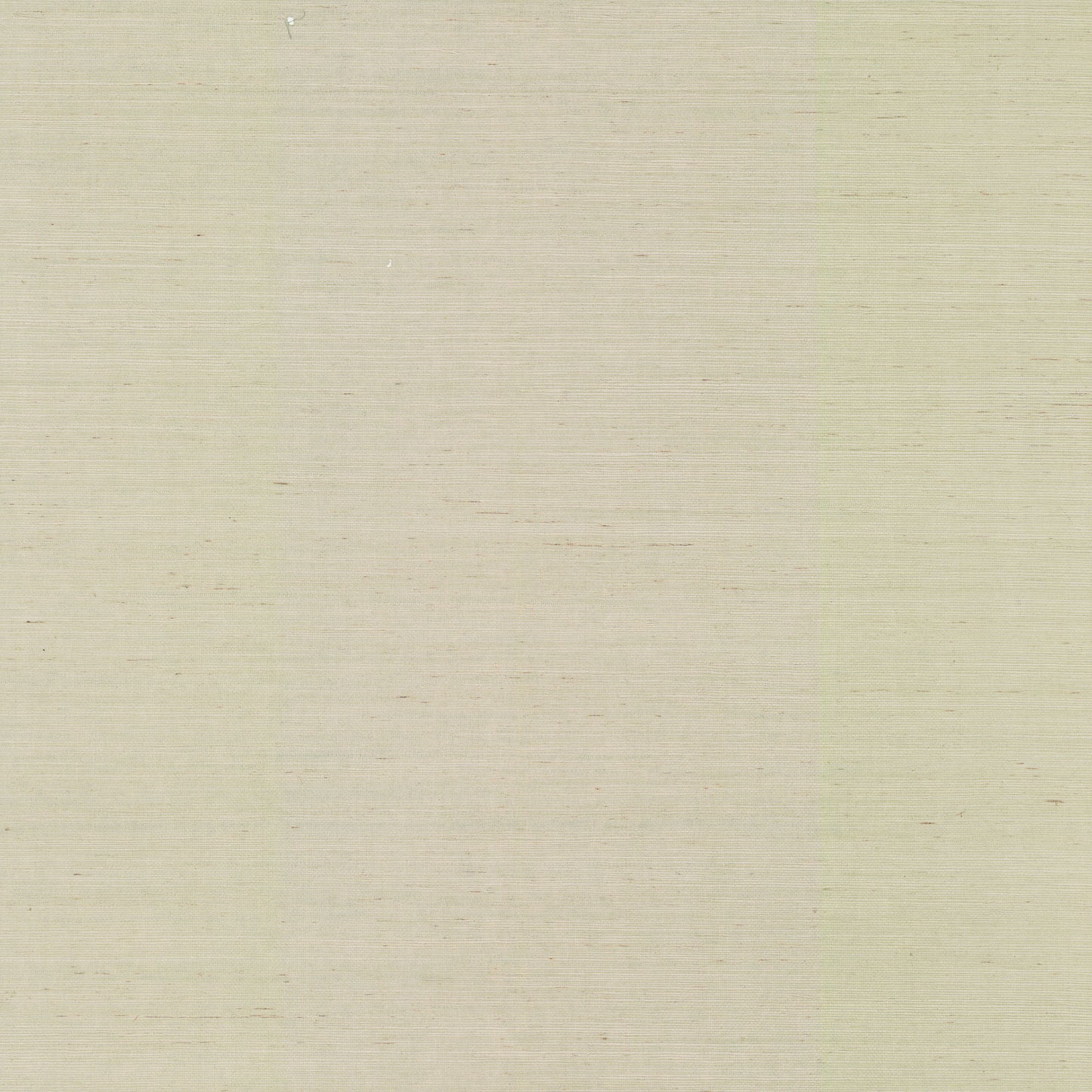 NZ0791 - Blooms Second Edition Wallpaper Maguey Sisal