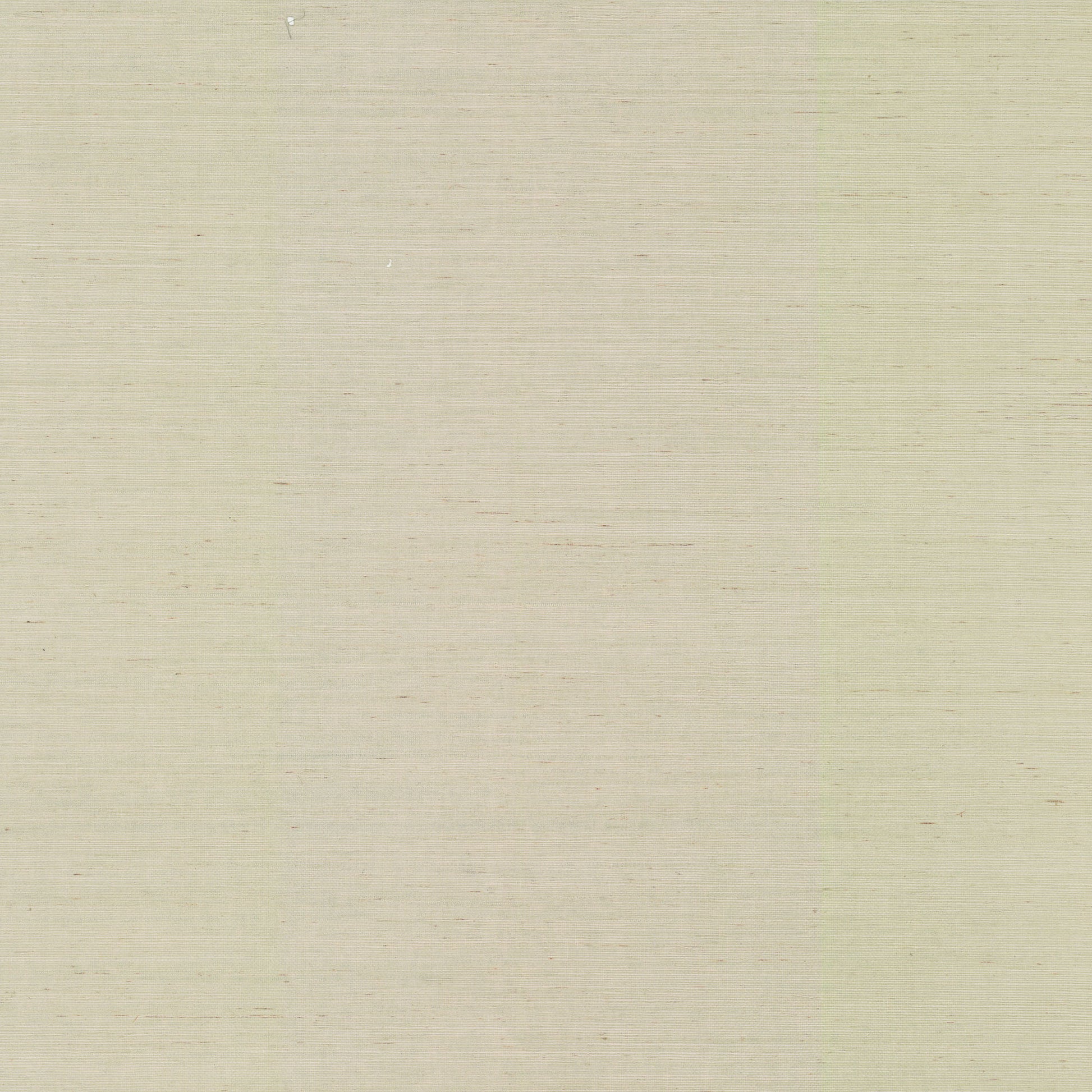 NZ0791 - Blooms Second Edition Wallpaper Maguey Sisal