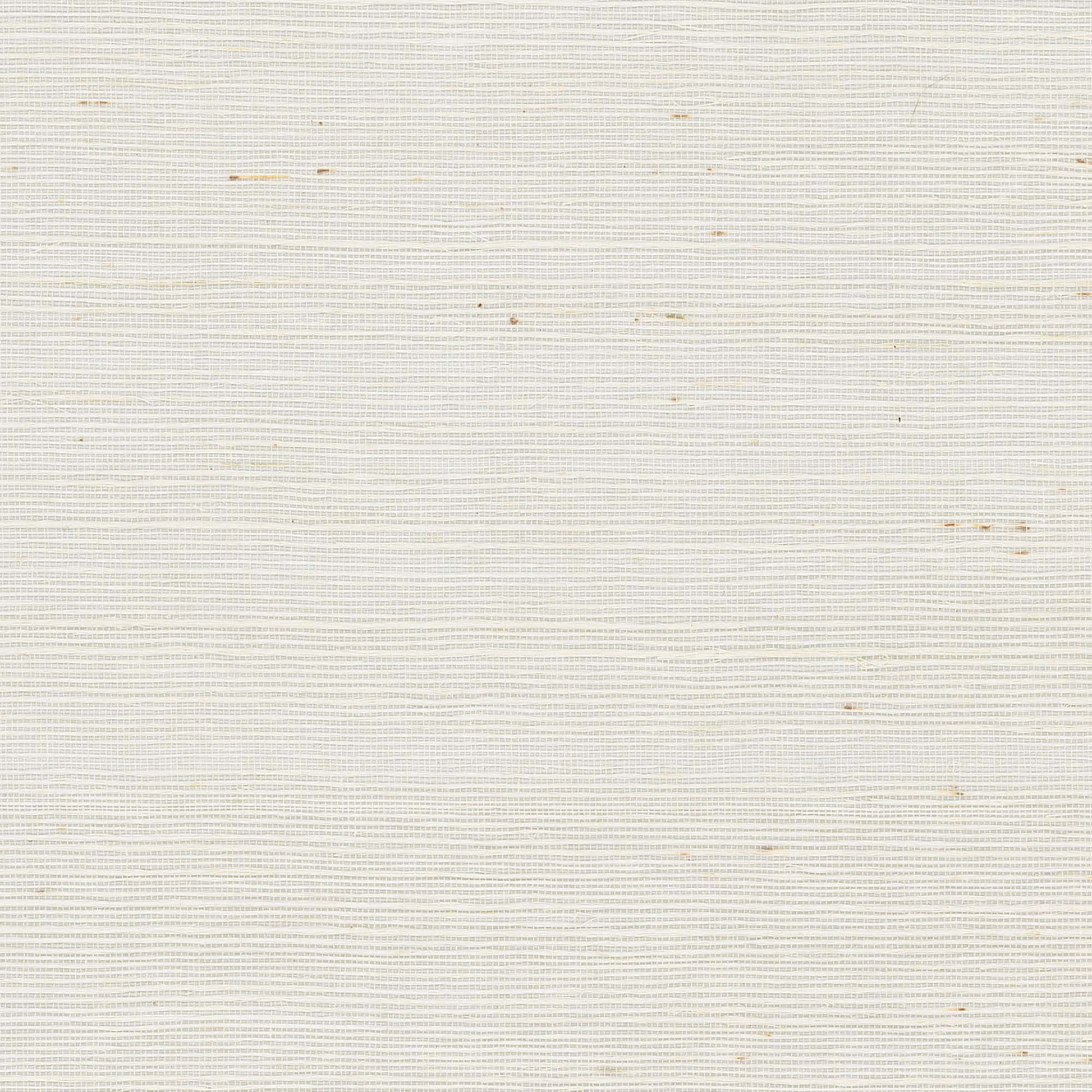 VG0000 - Blooms Second Edition Wallpaper Maguey Sisal