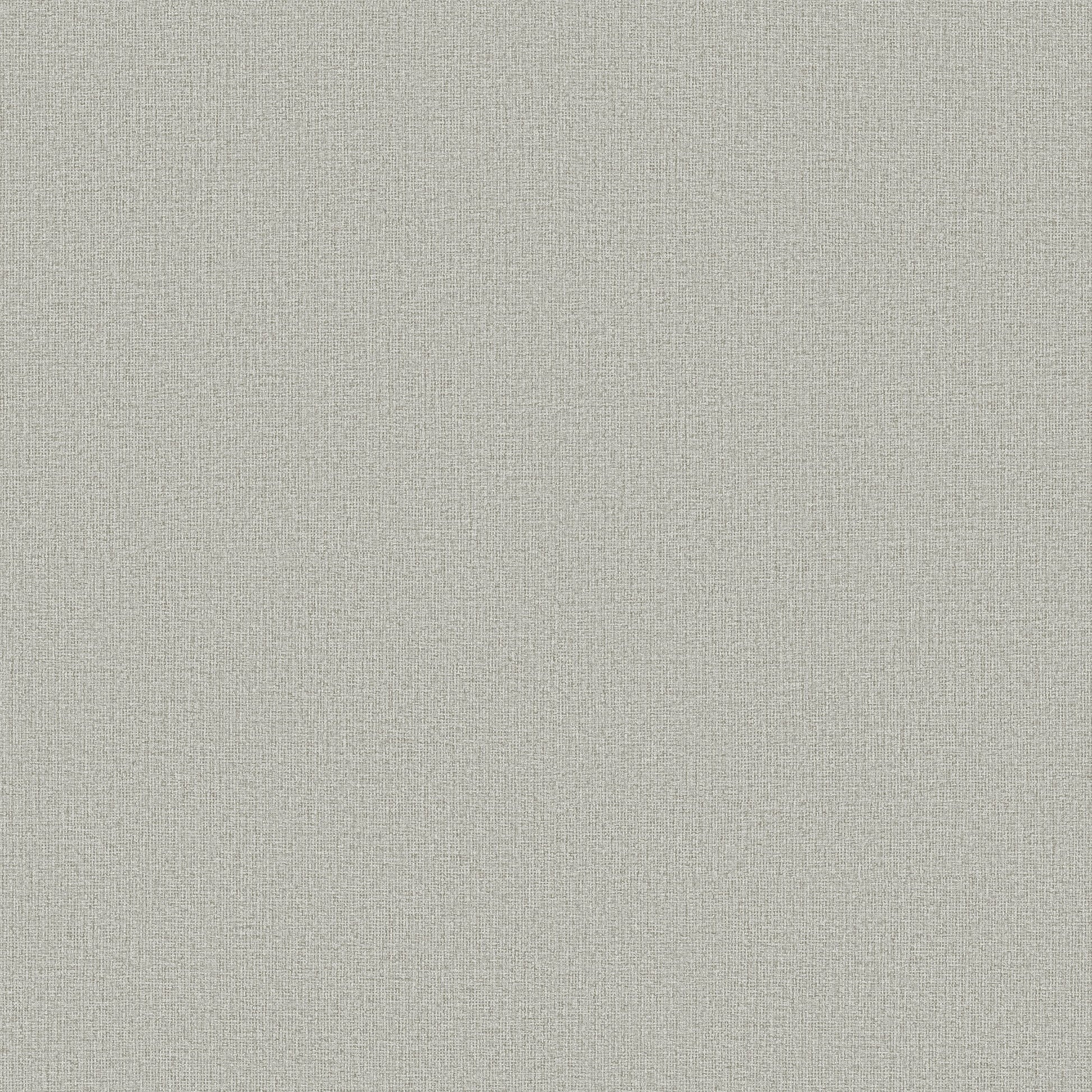 ND3009N - Natural Digest Wallpaper Dandy
