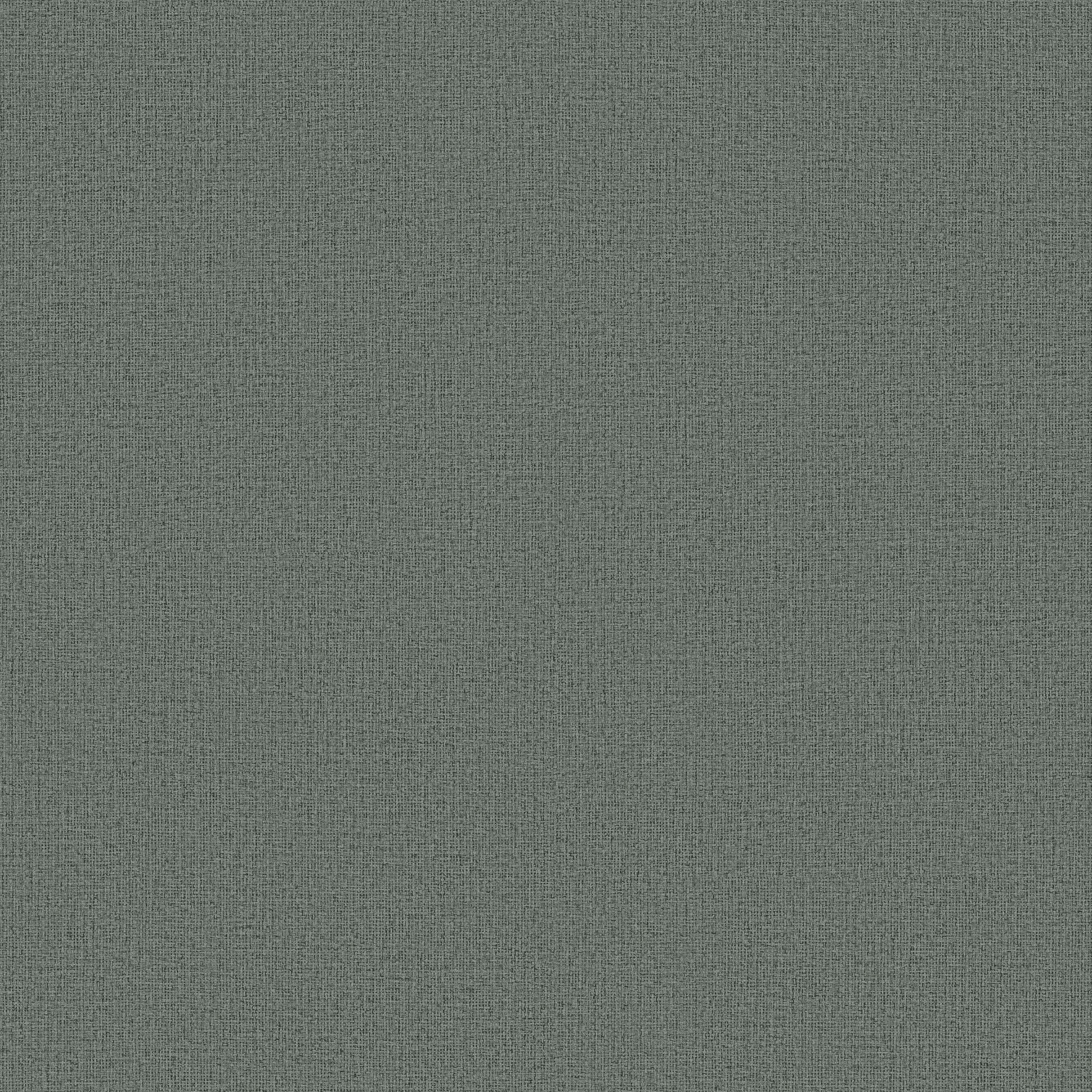ND3011N - Natural Digest Wallpaper Dandy