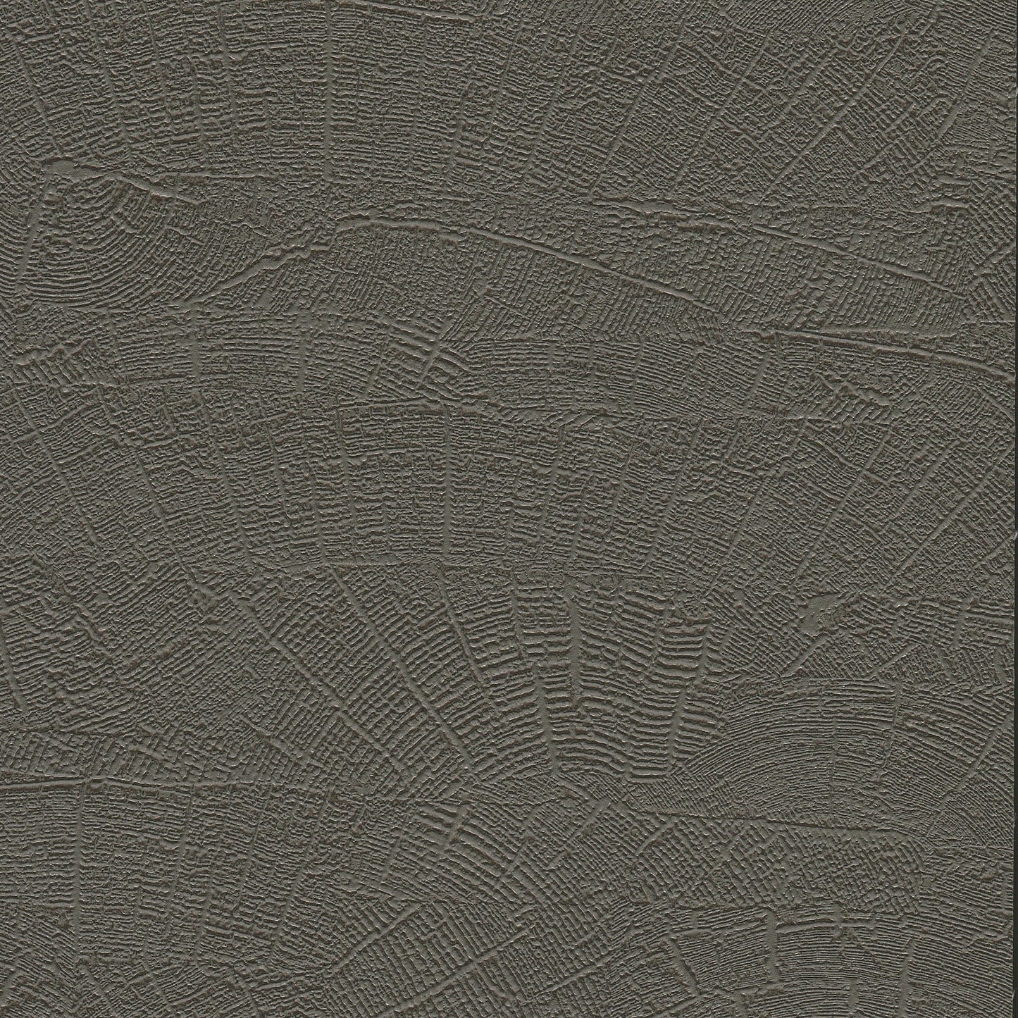 ND3064N - Natural Digest Wallpaper On Deck