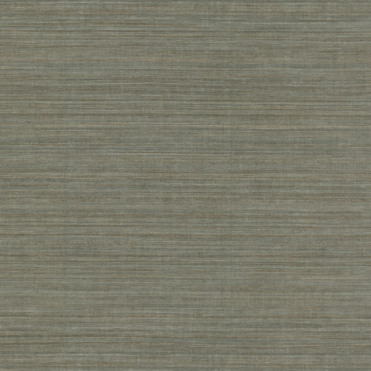 ND3077N - Natural Digest Wallpaper Tasar Silk