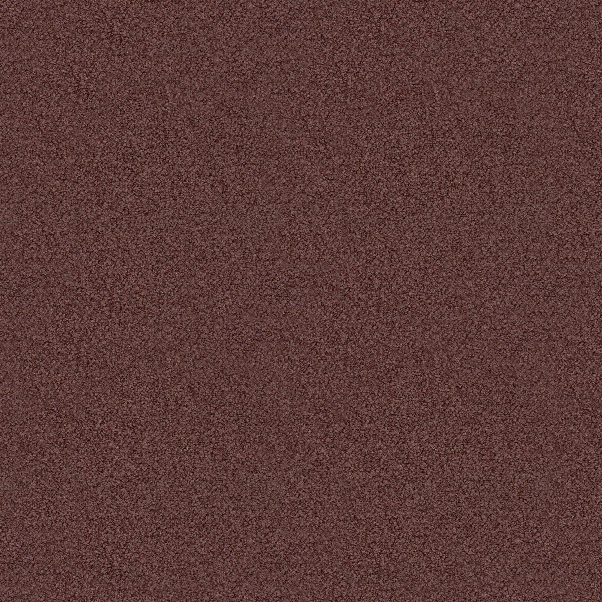 Avery Chenille (Fc) - Luxe - Aubergine