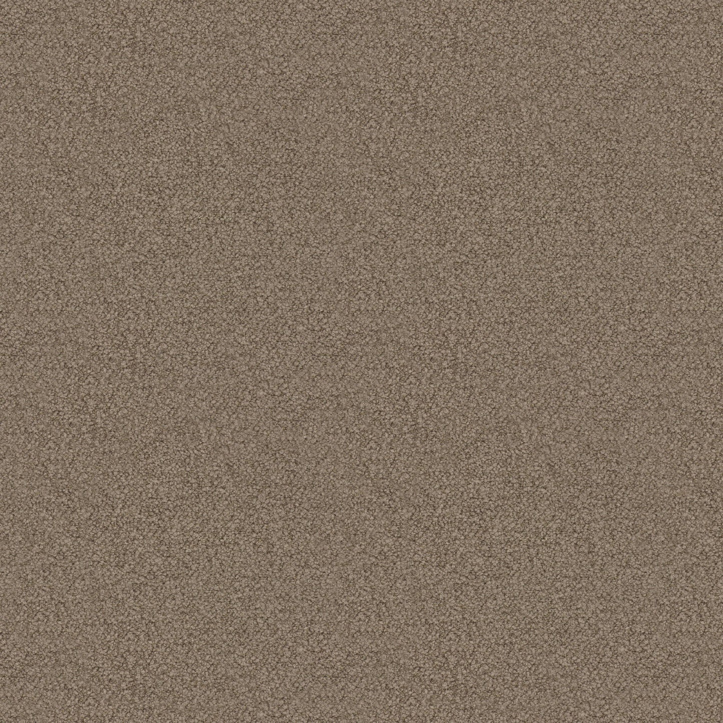 Avery Chenille (Fc) - Luxe - Taupe