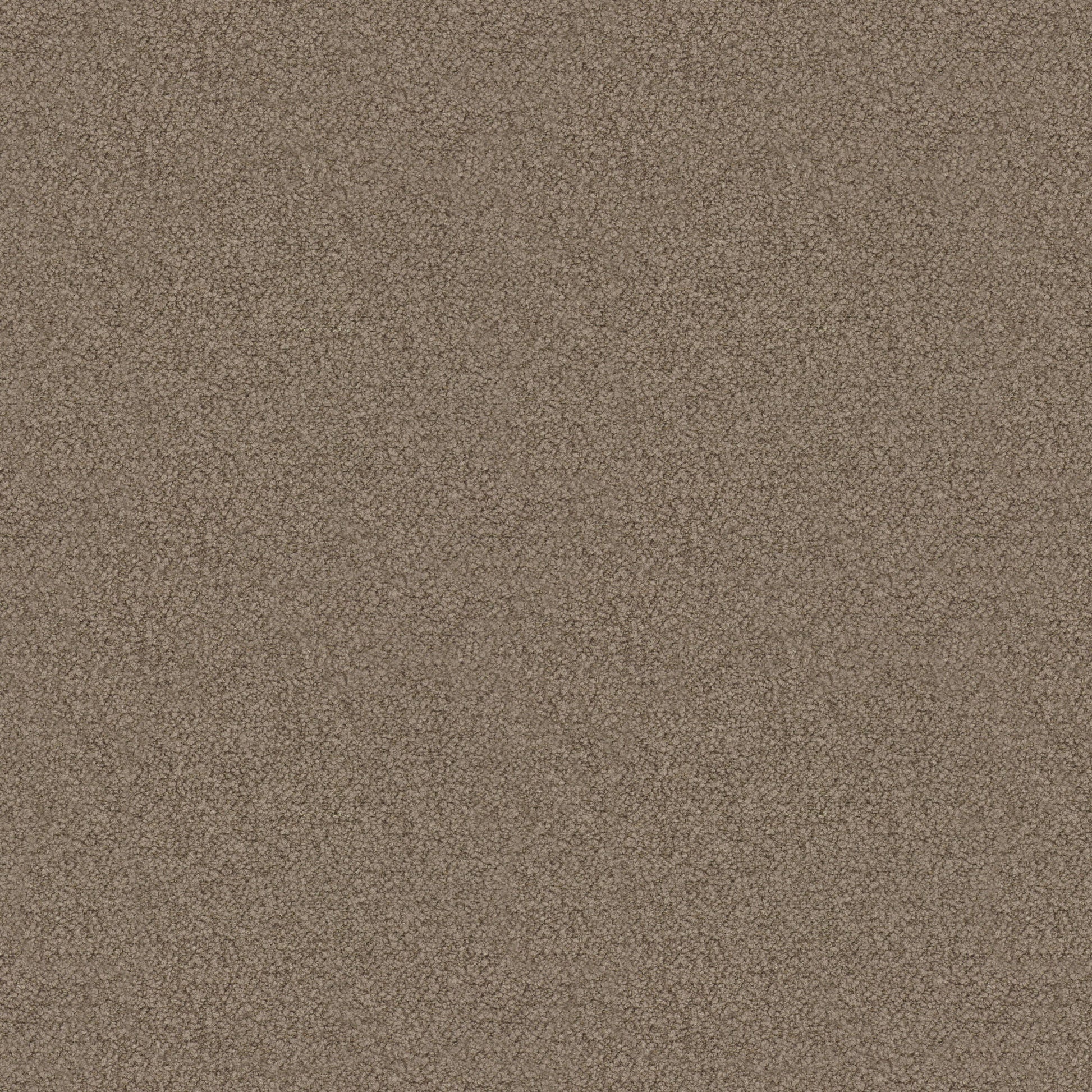 Avery Chenille (Fc) - Luxe - Taupe