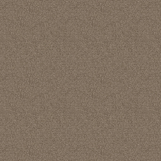 Avery Chenille (Fc) - Luxe - Taupe