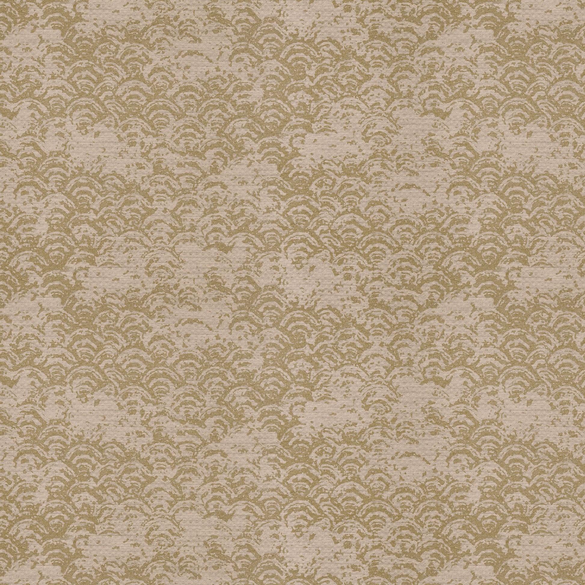 Ellis (Fc) - Luxe - Cameo Sheen