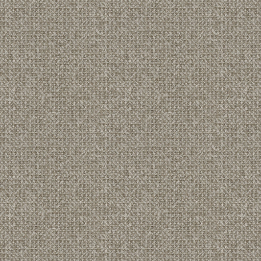 Gavi (Fc) - Luxe - Platinum