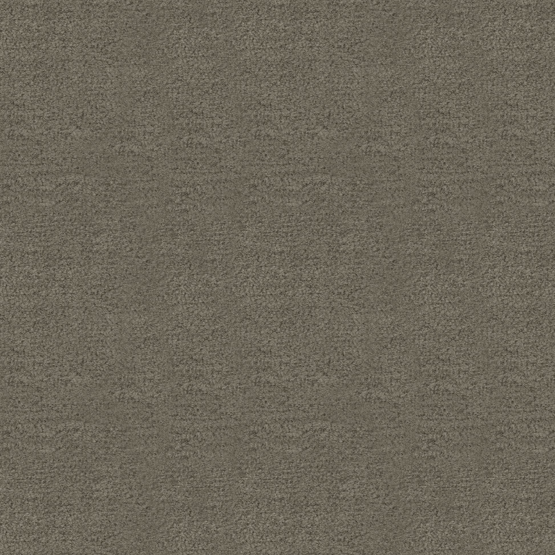 Sage (Fc) - Luxe - Grey