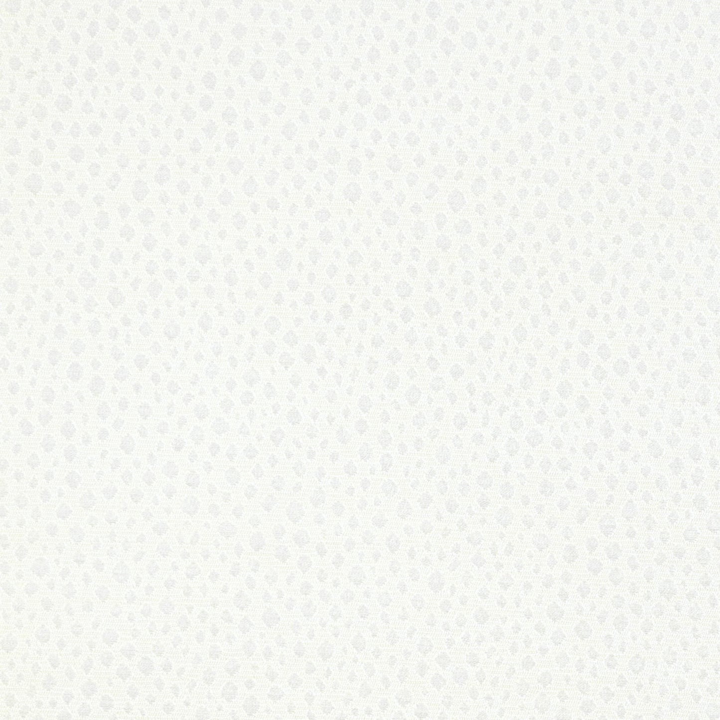 Escaladere (Kc) - Candice Olson - 1 Snow