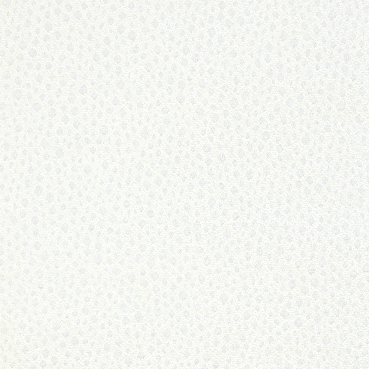 Escaladere (Kc) - Candice Olson - 1 Snow