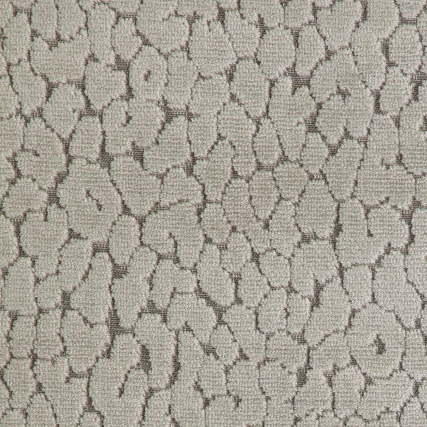 Instinct (Kc) - Candice Olson - 11 Taupe