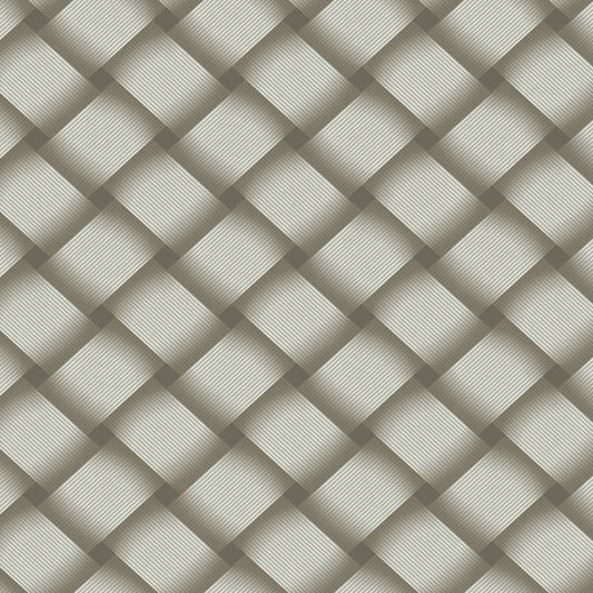 EV3966 - Candice Olson Wallpaper - Bayside Basket Weave