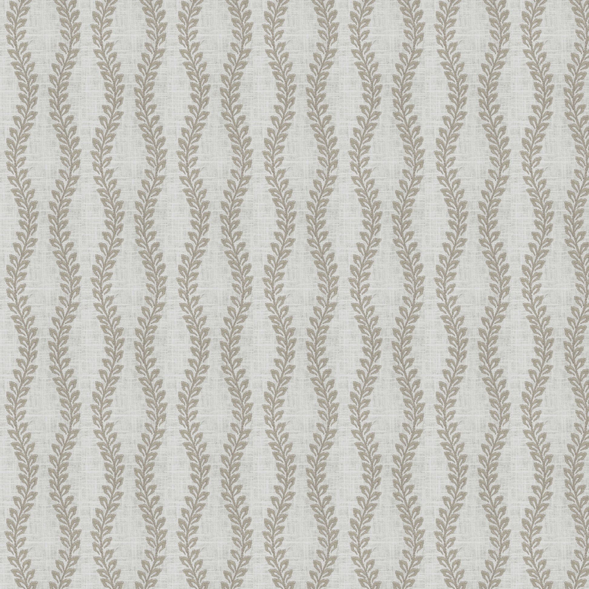 Bergamo (Fc) - Dusty Miller