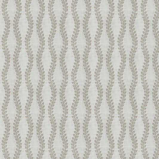 Bergamo (Fc) - Dusty Miller
