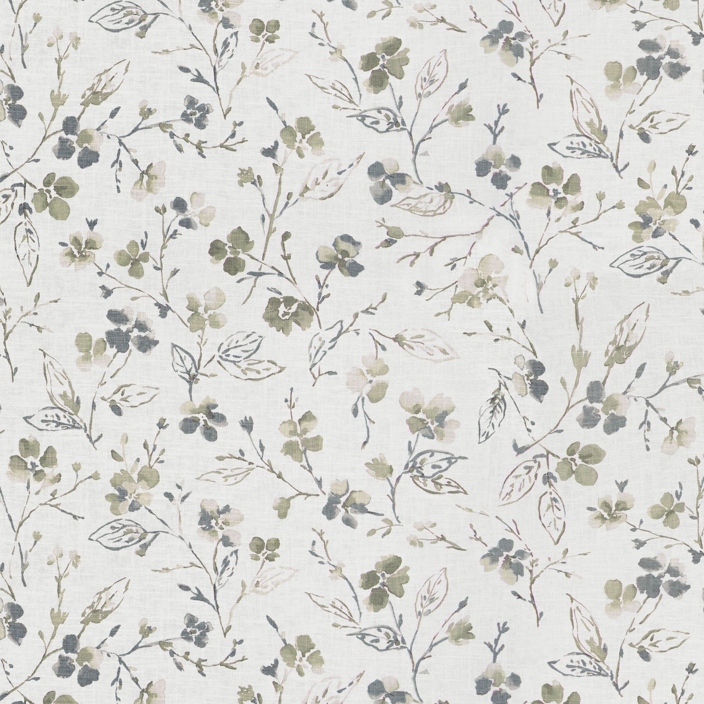 Montoya (Fc) - Dusty Miller
