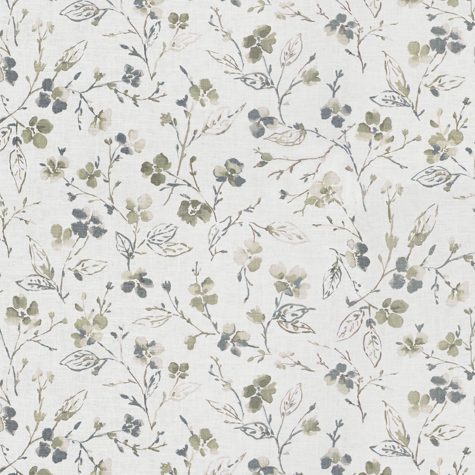 Montoya (Fc) - Dusty Miller