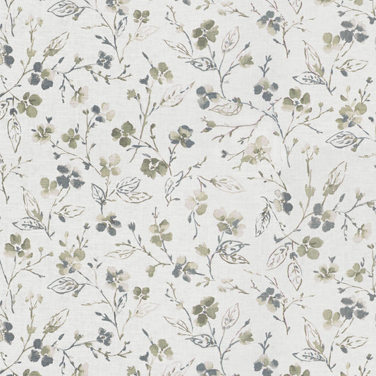 Montoya (Fc) - Dusty Miller