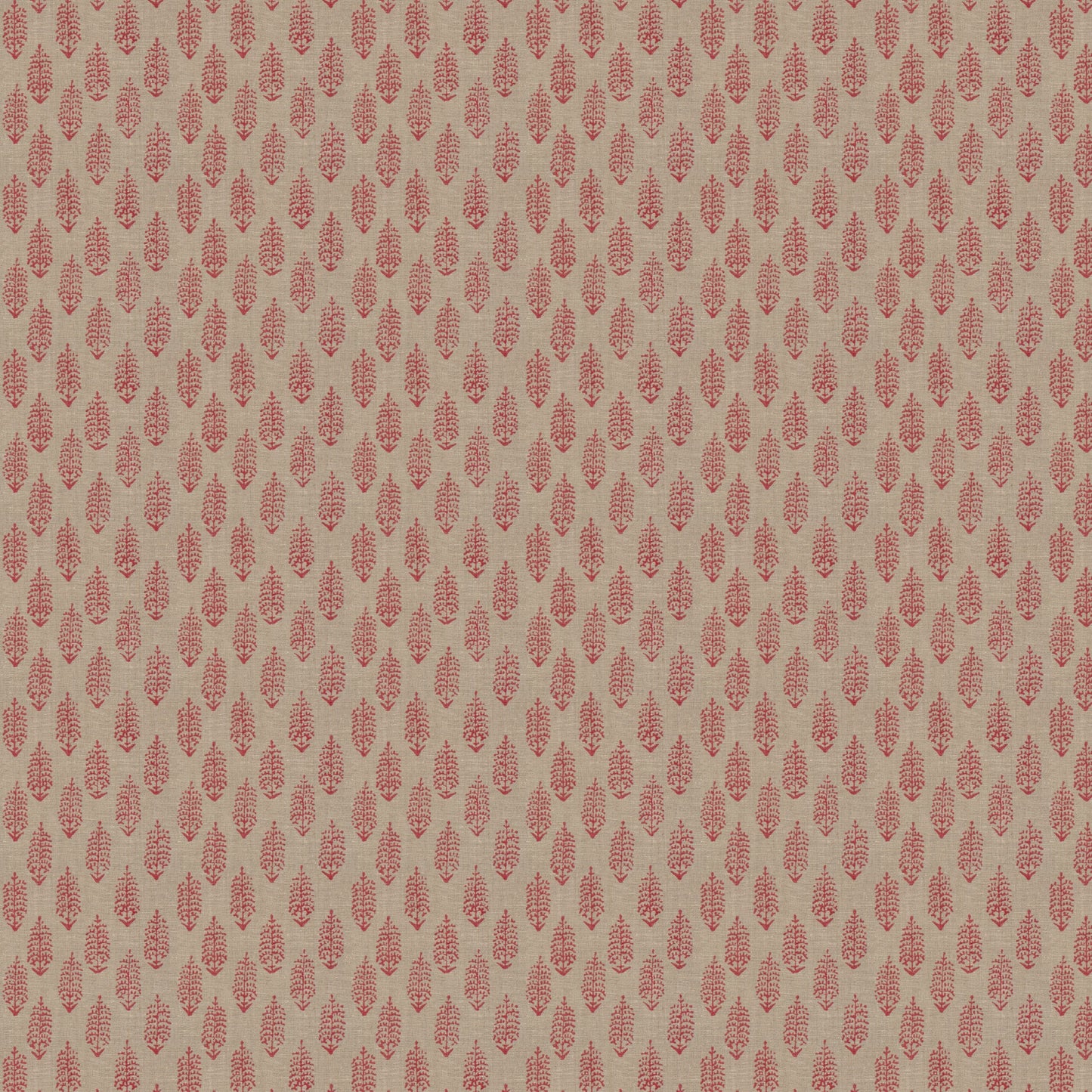 Perugia (Fc) - Dahlia