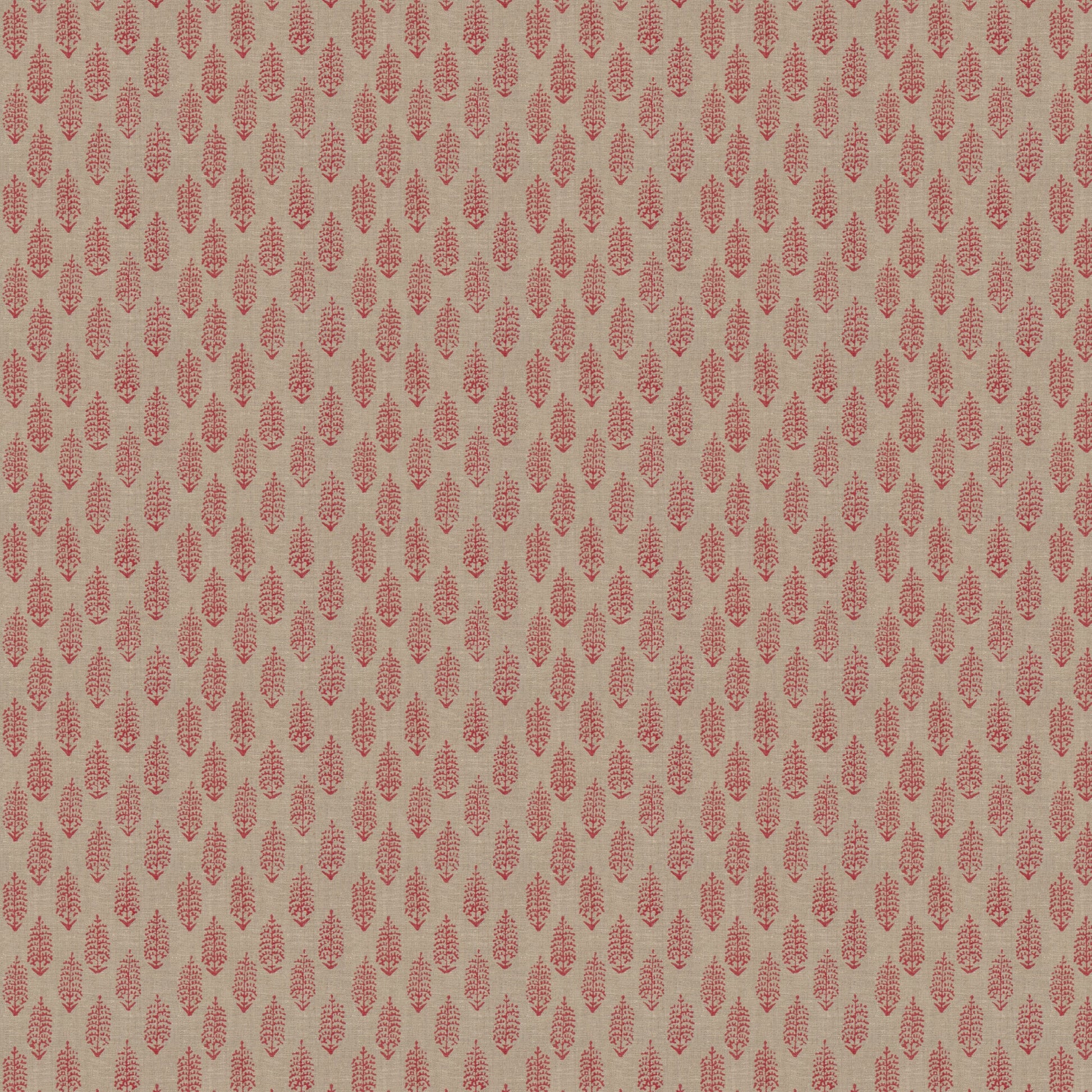 Perugia (Fc) - Dahlia