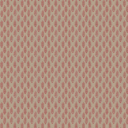 Perugia (Fc) - Dahlia