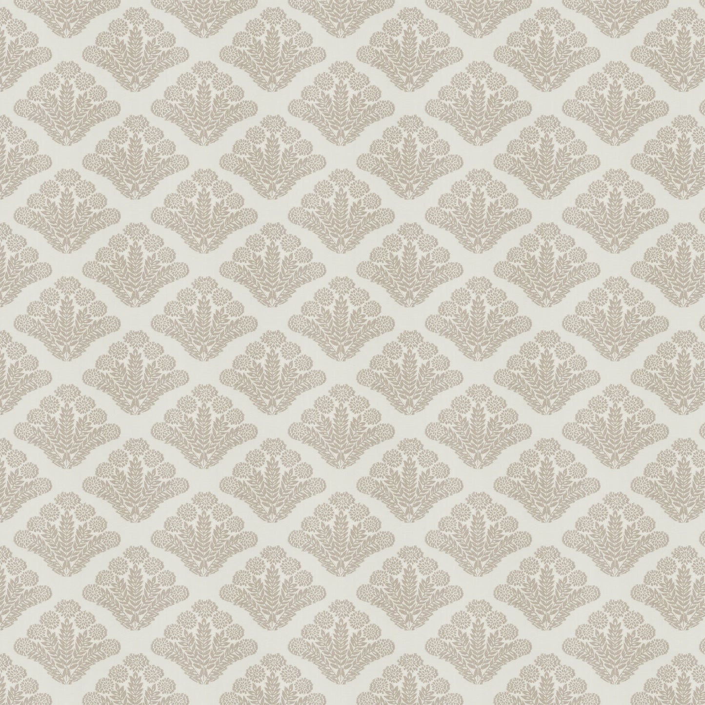 Trieste (Fc) - Dusty Miller