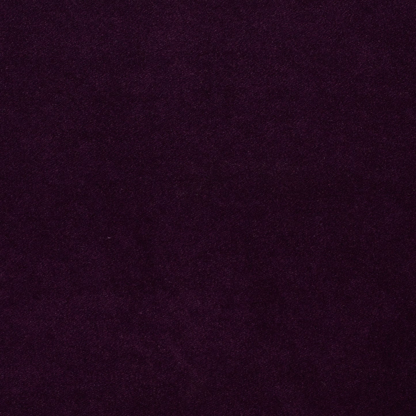 Dreamy - Performance Velvet - Blackberry Jam