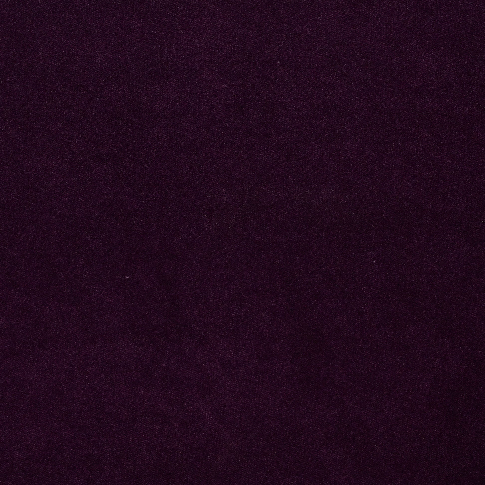 Dreamy - Performance Velvet - Blackberry Jam