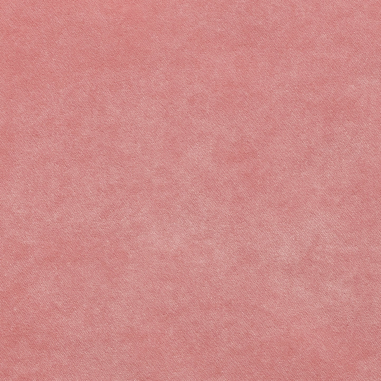 Dreamy - Performance Velvet - Bubblegum