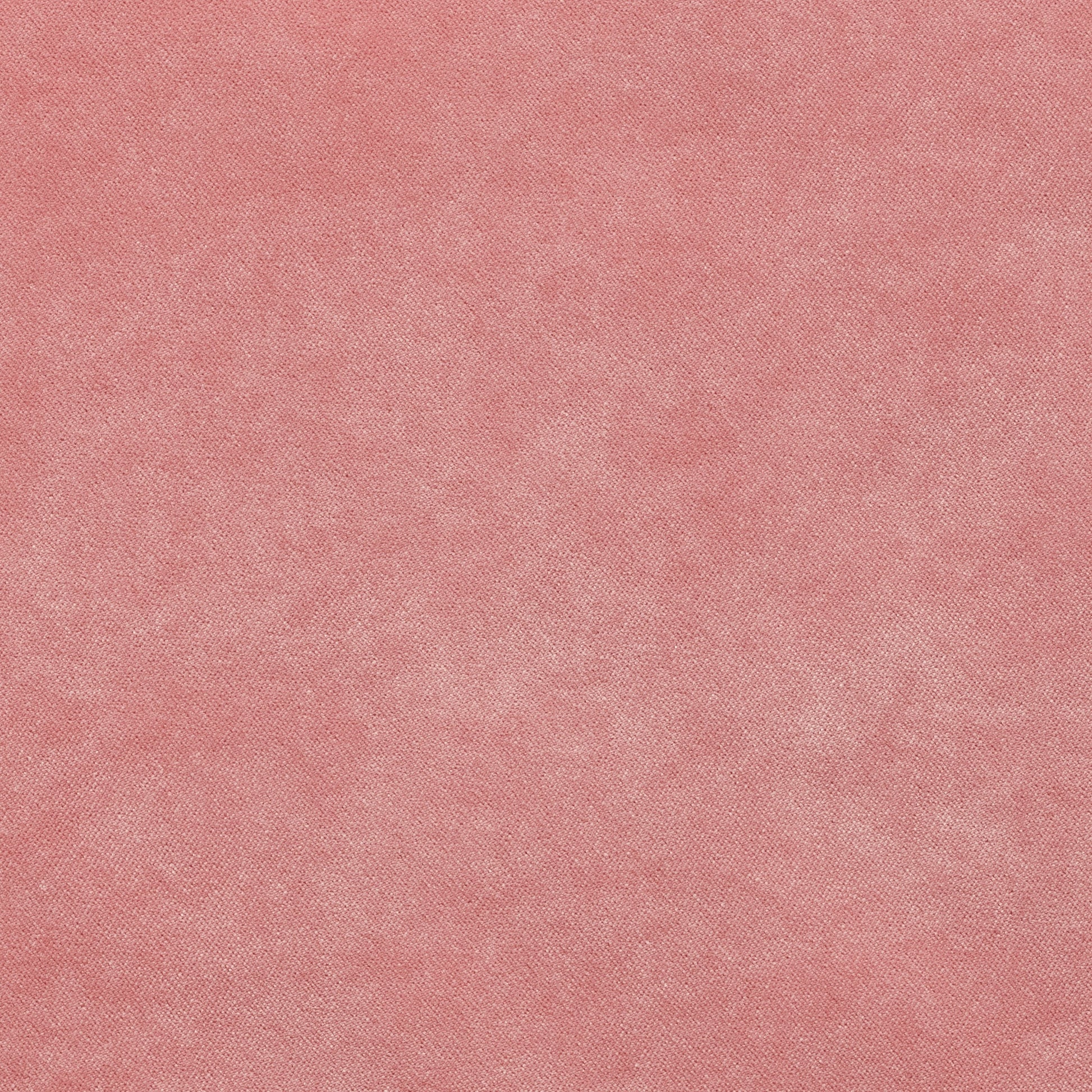 Dreamy - Performance Velvet - Bubblegum
