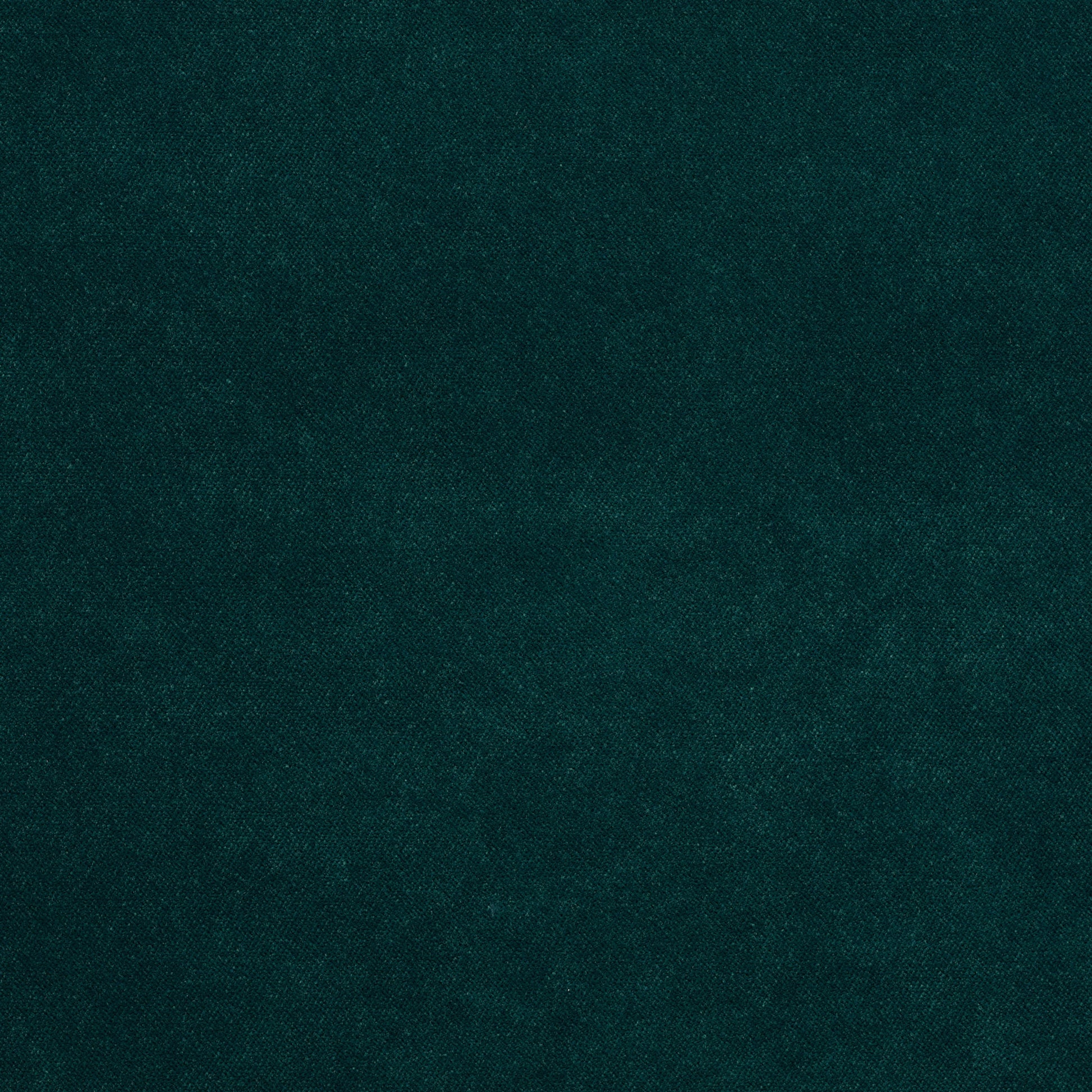 Dreamy - Performance Velvet - Deep Dive
