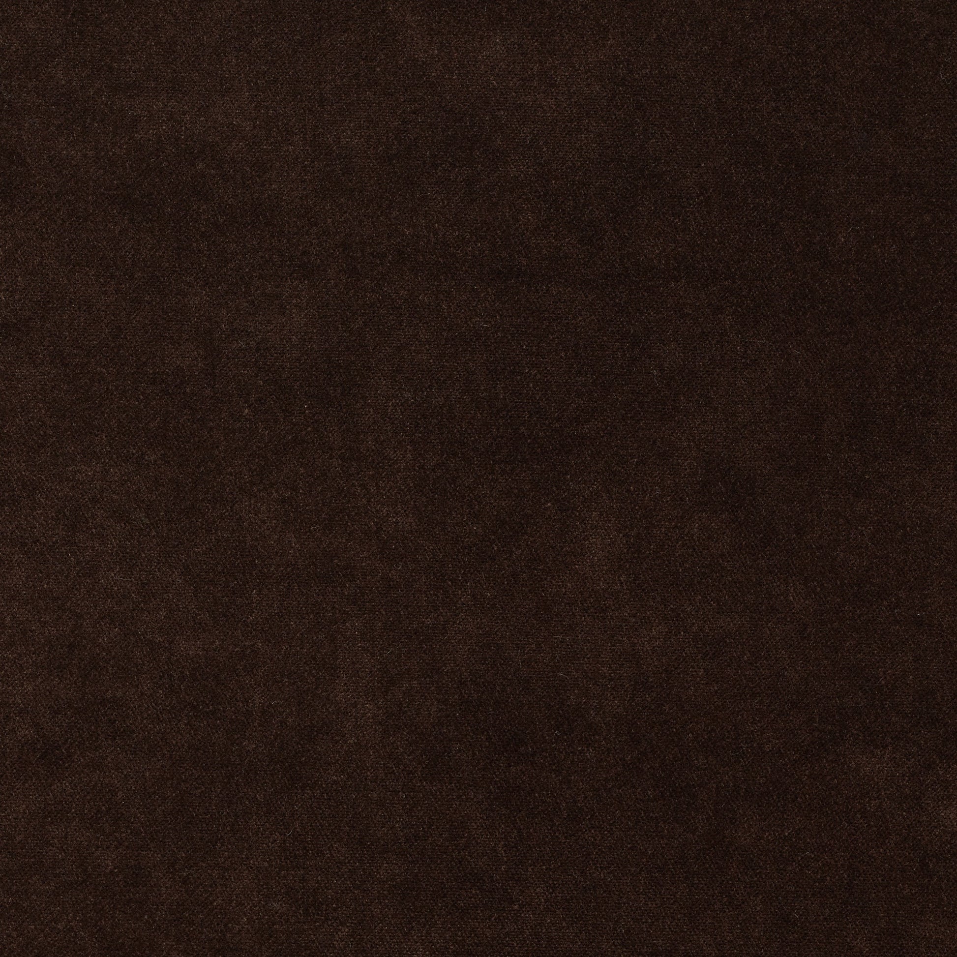 Dreamy - Performance Velvet - Espresso