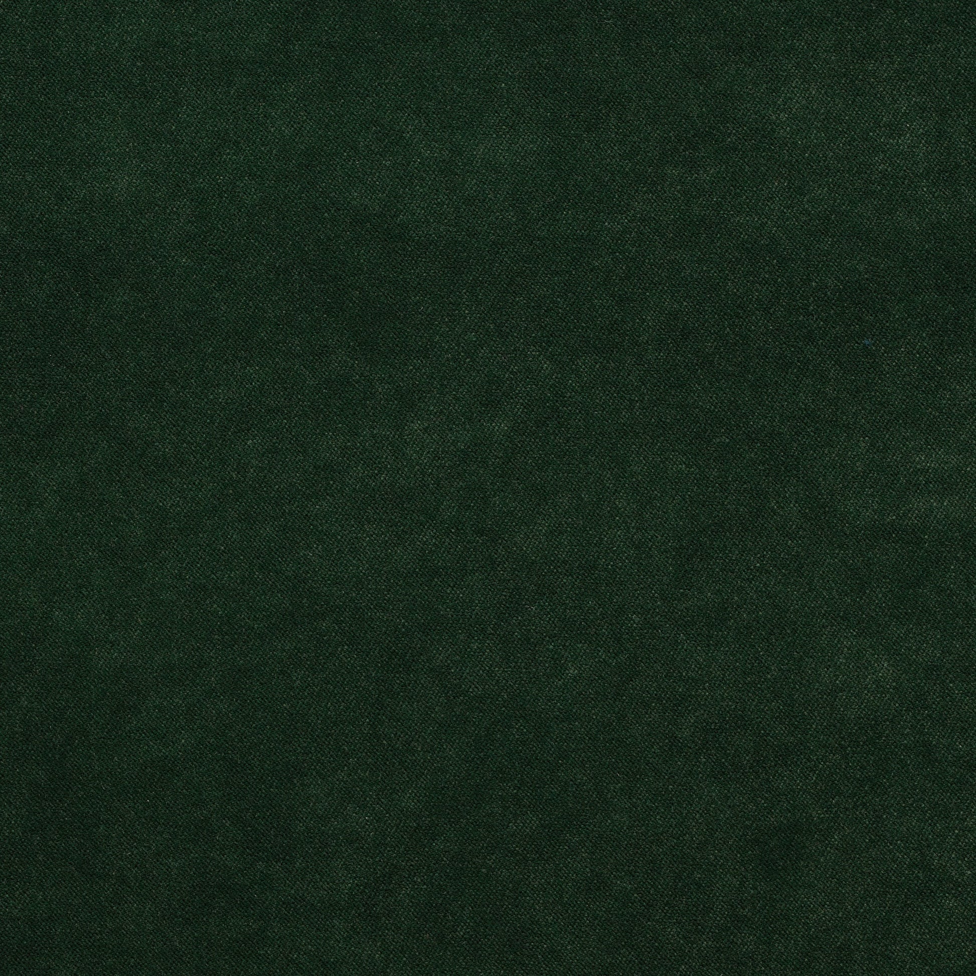 Dreamy - Performance Velvet - Evergreen
