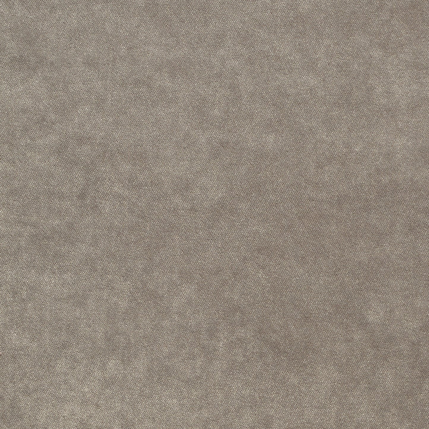 Dreamy - Performance Velvet - Moonrock