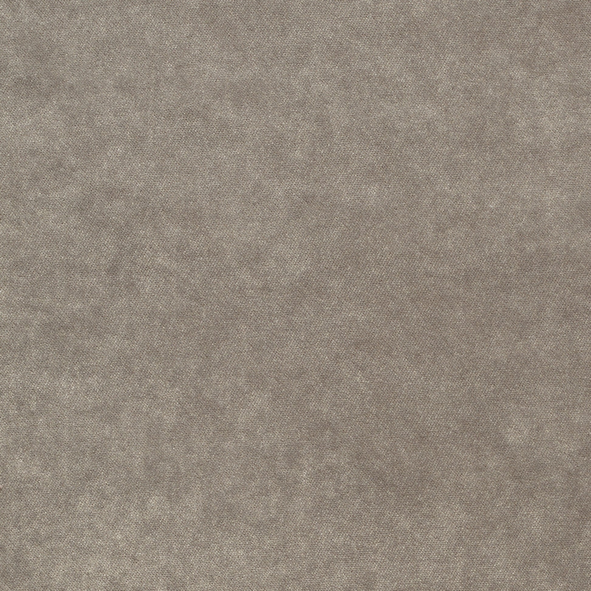 Dreamy - Performance Velvet - Moonrock