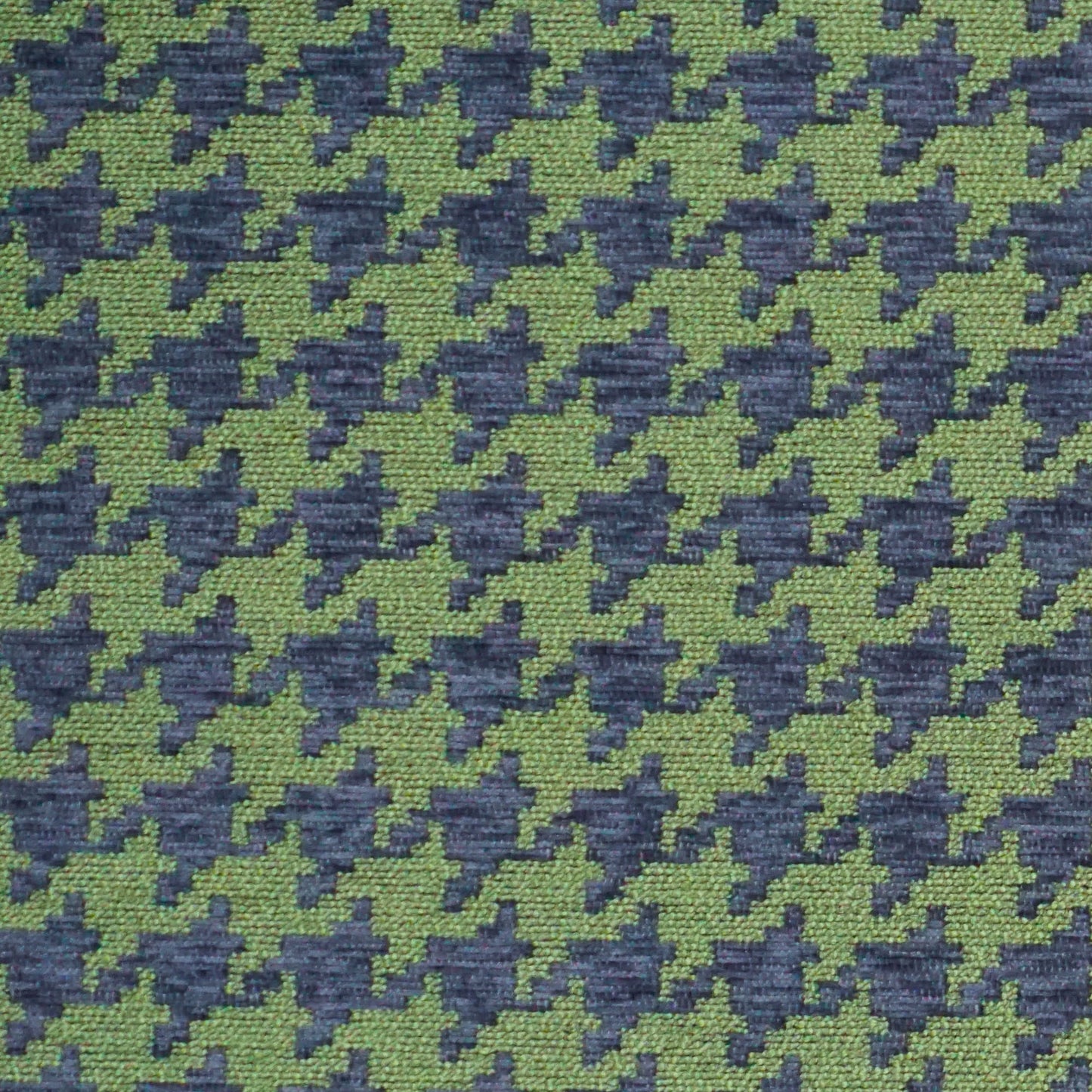 Delia Cr - Crypton Home - Peacock